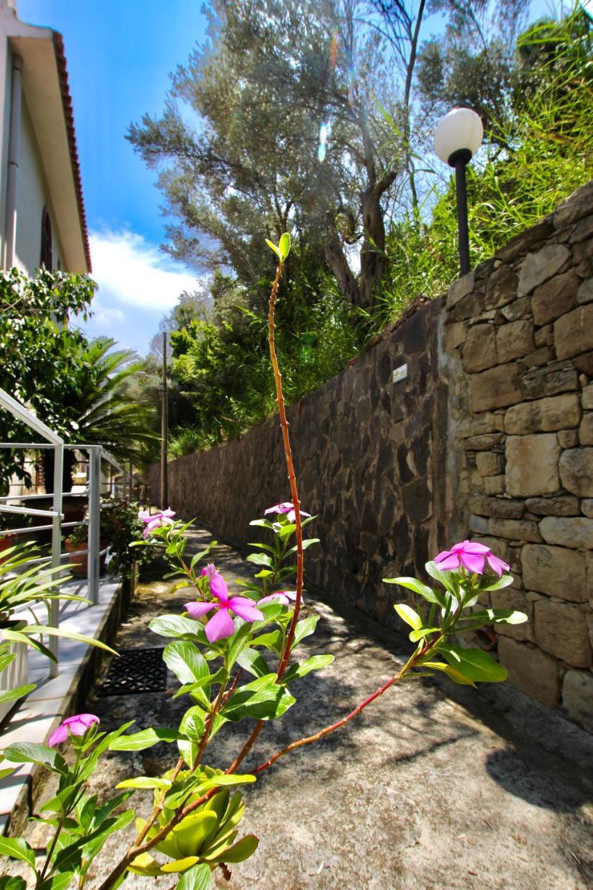 Le Case Del Borgo - Perla Capo dʼOrlando Exterior foto